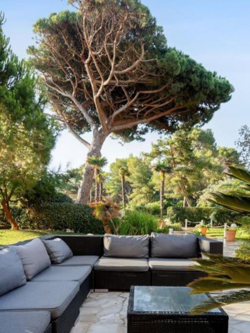 Superbe Appartement 50M De La Plage En Bord De Mer Hyères Exterior foto