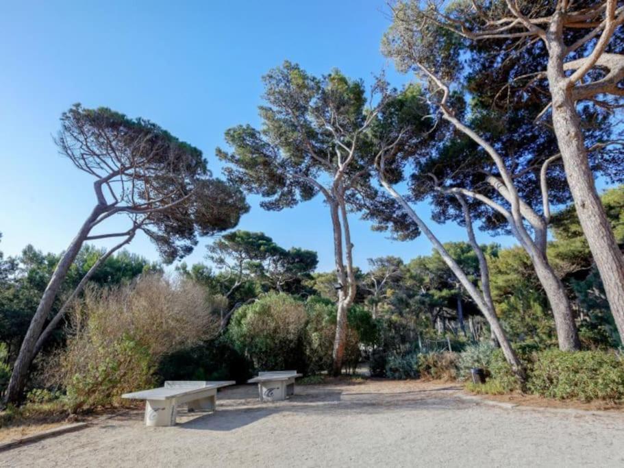 Superbe Appartement 50M De La Plage En Bord De Mer Hyères Exterior foto